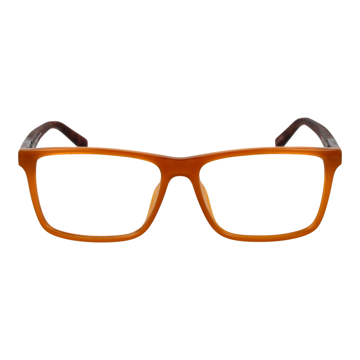 Brown/Demo glasses