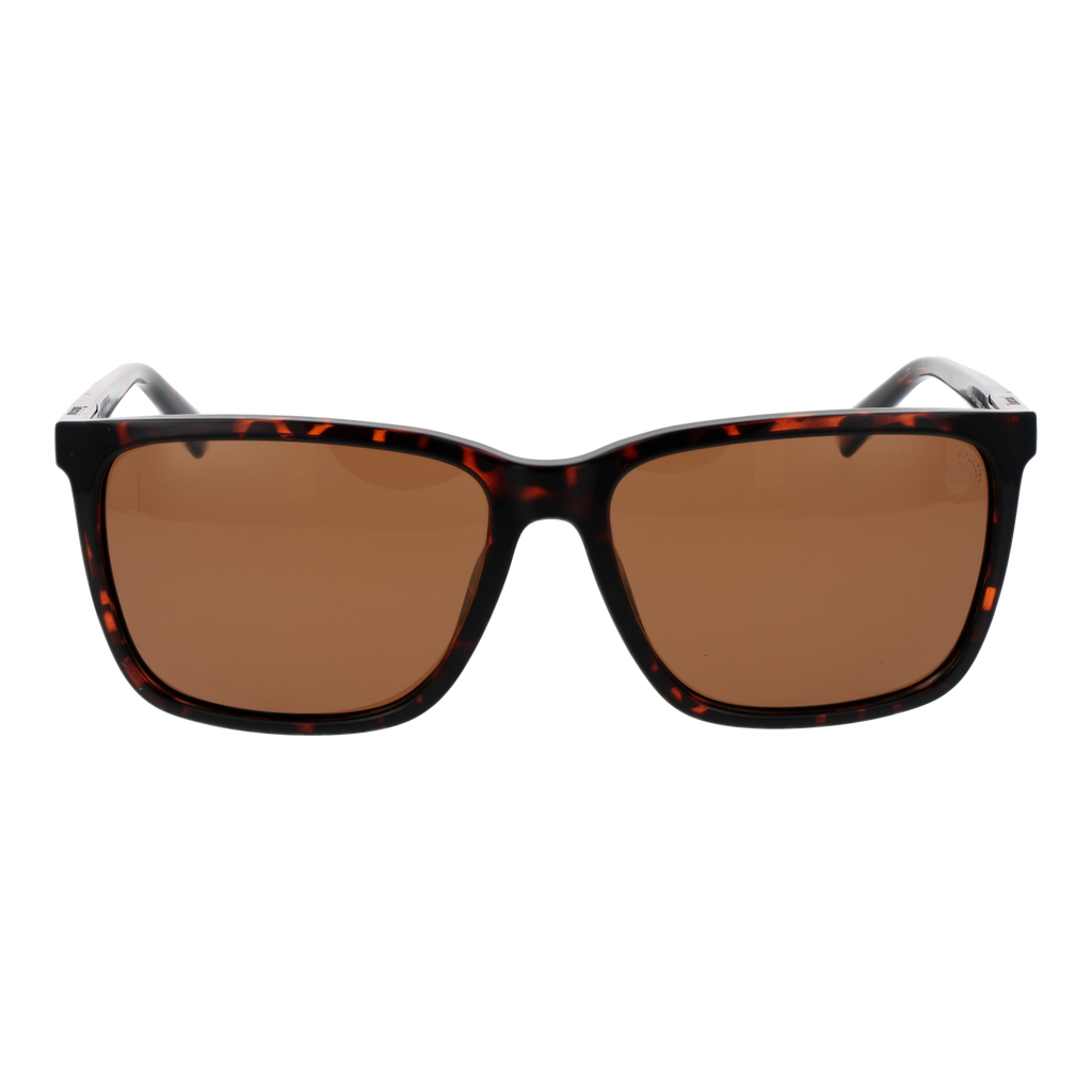 Brown/Orange