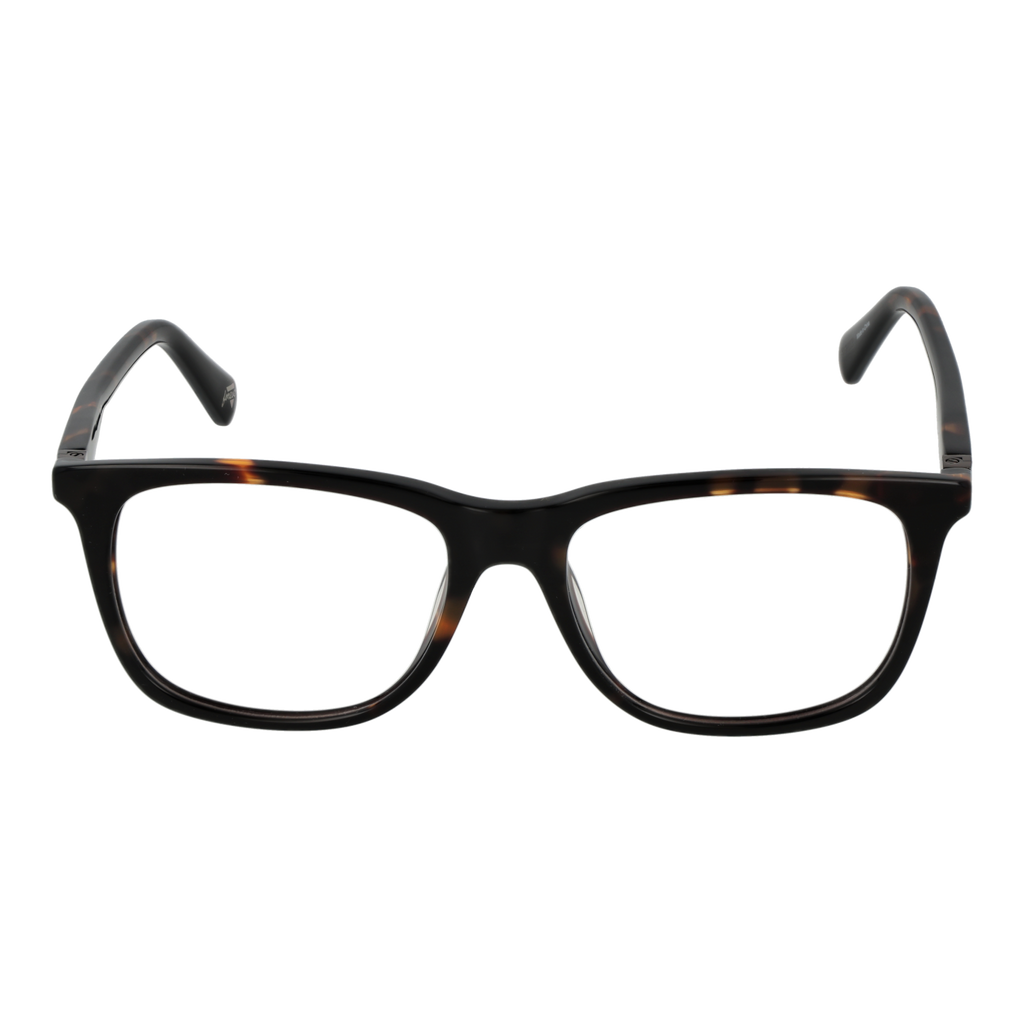 Brown/Demo glasses