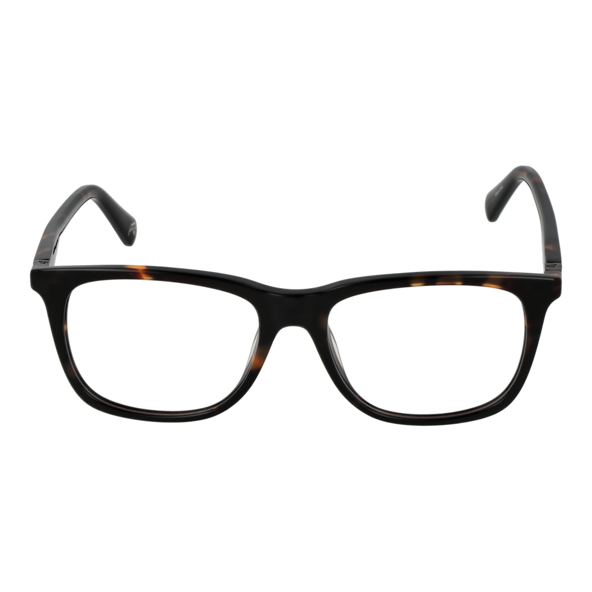 Brown/Demo glasses