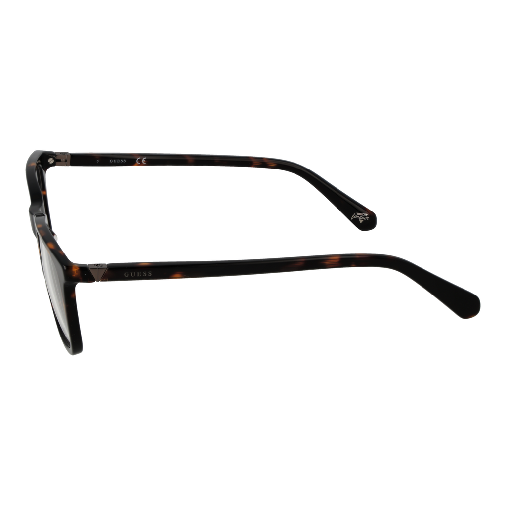 Brown/Demo glasses
