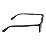 Brown/Demo glasses