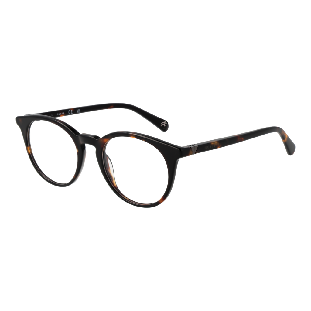 Brown/Demo glasses