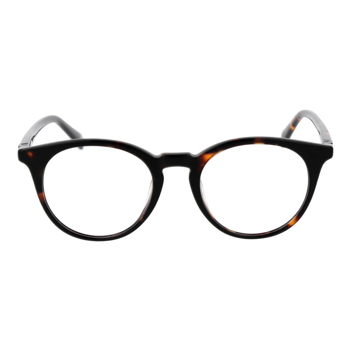 Brown/Demo glasses