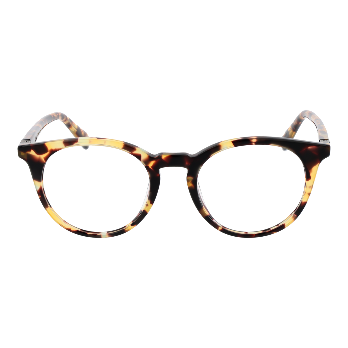Brown/Demo glasses
