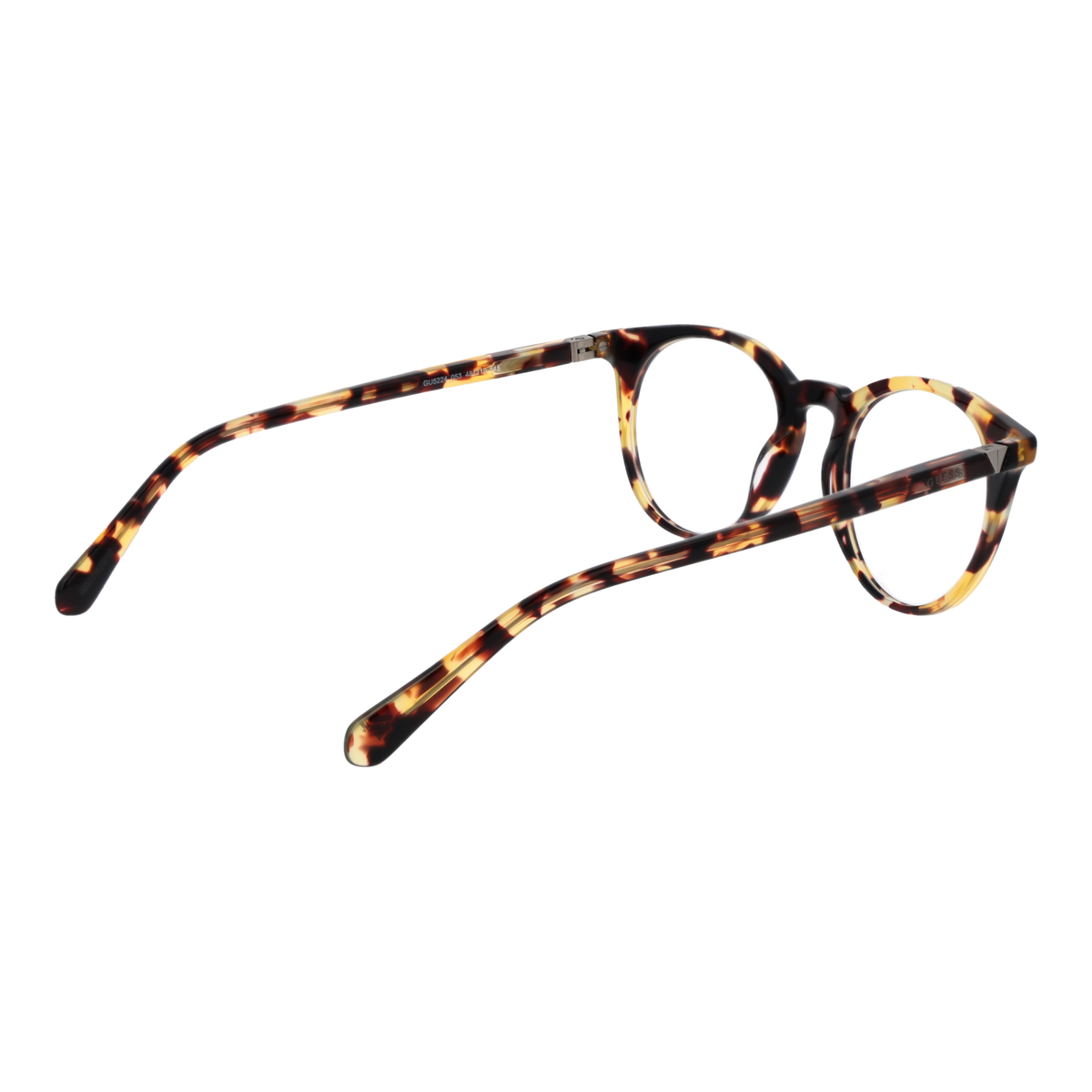 Brown/Demo glasses