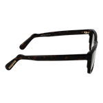 Brown/Demo glasses