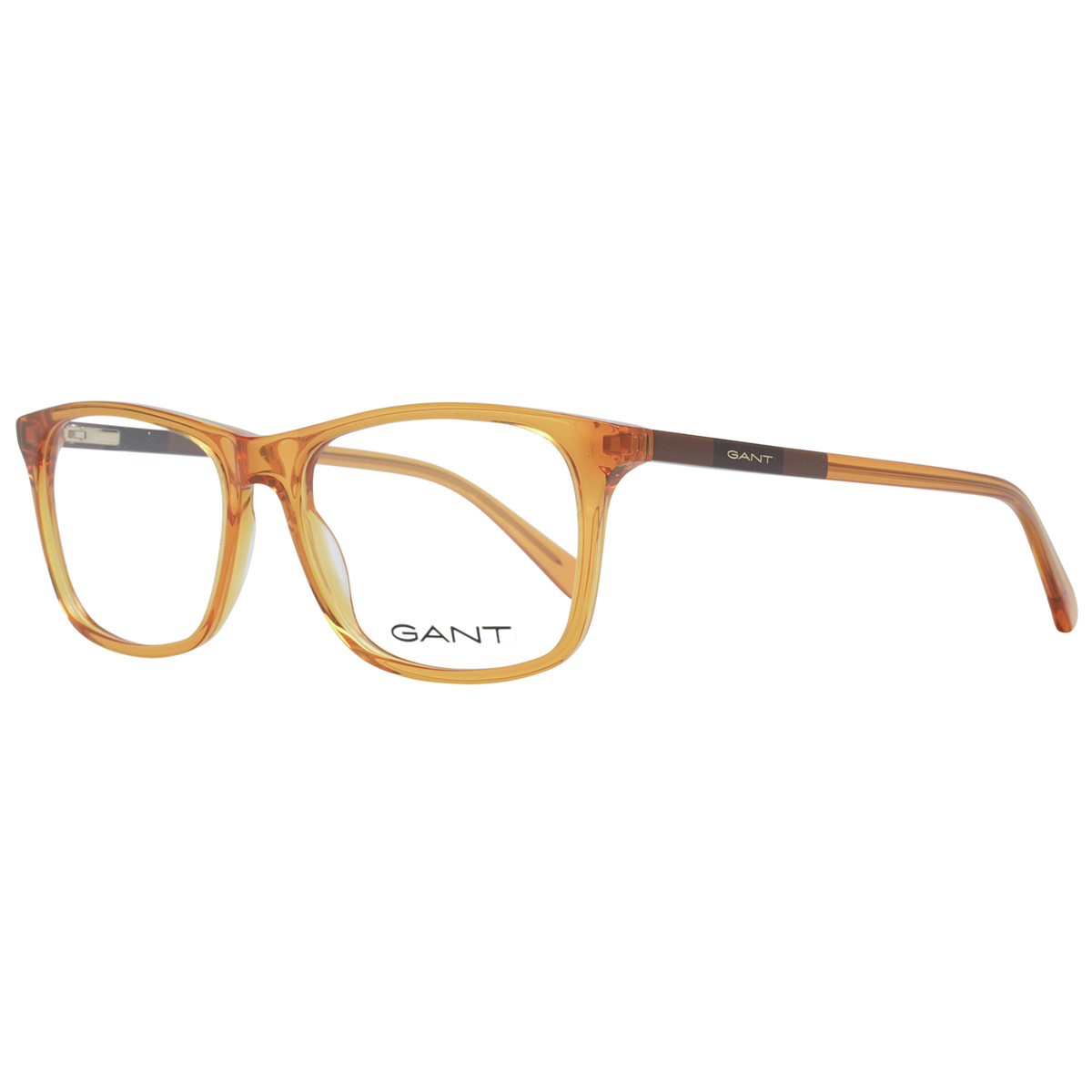 Orange/Demo glasses