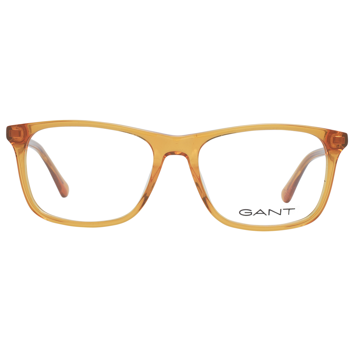 Orange/Demo glasses
