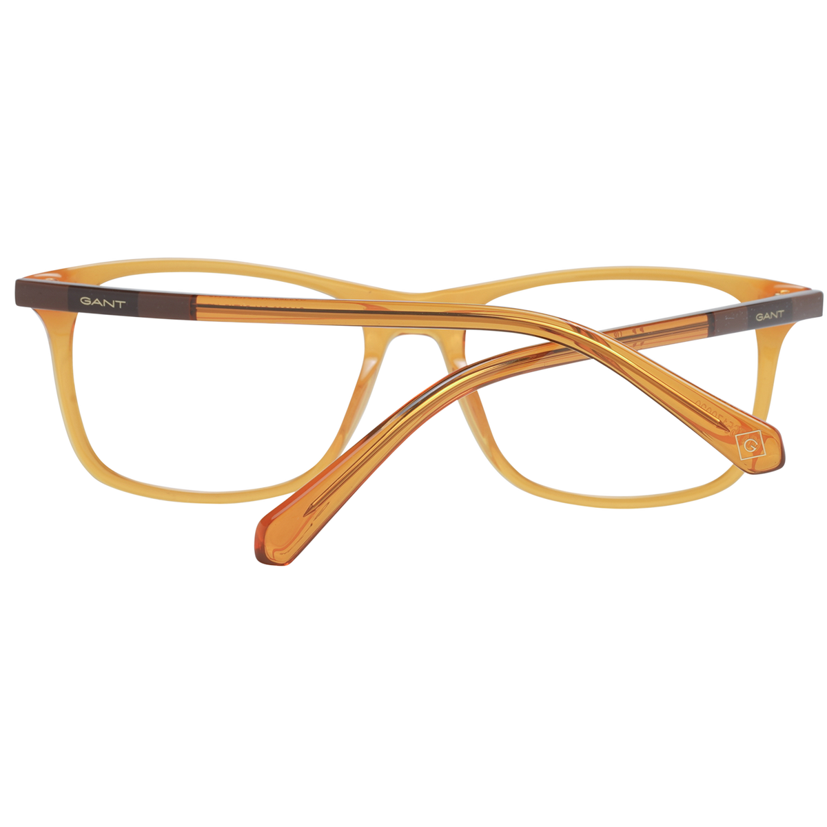 Orange/Demo glasses