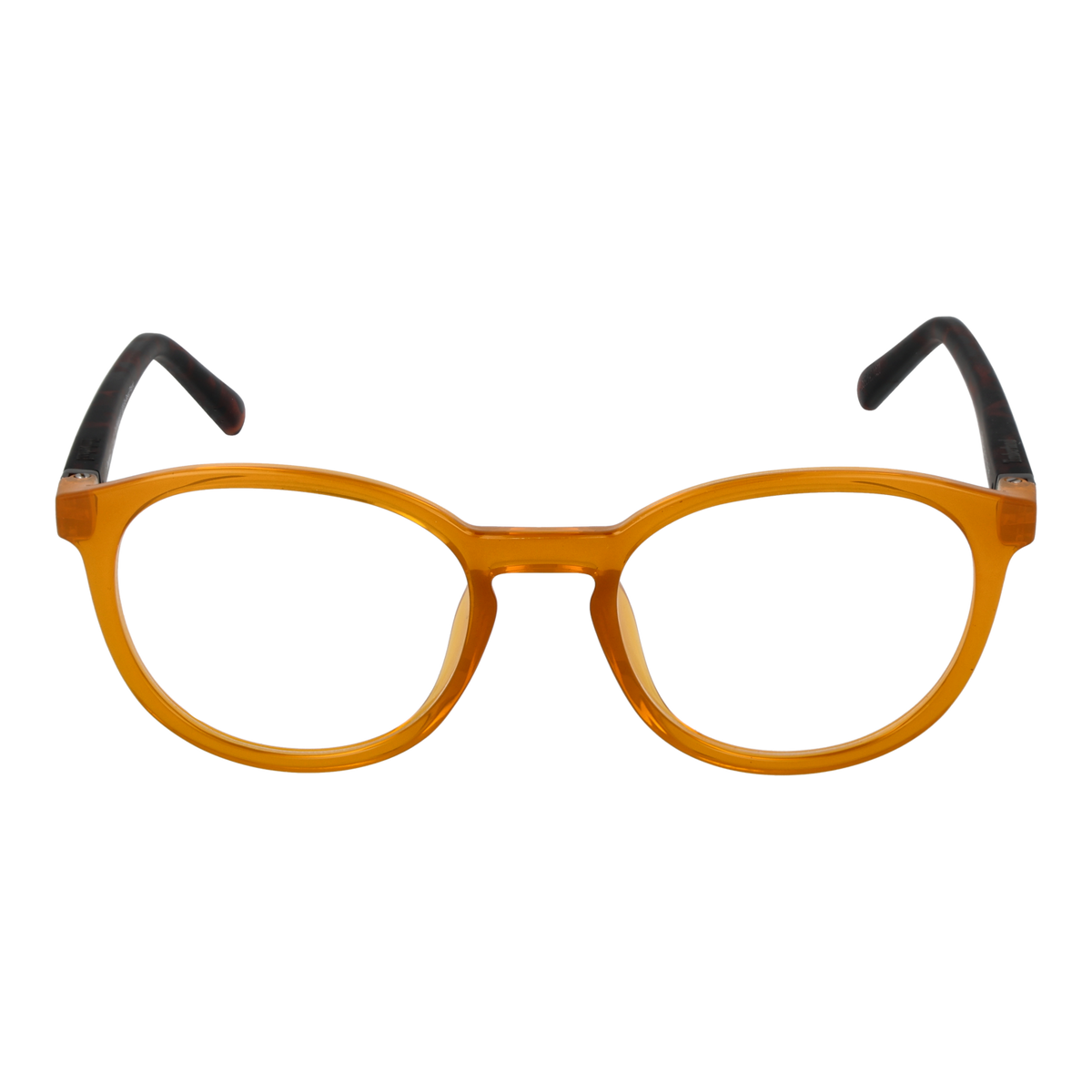 Orange/Demo glasses