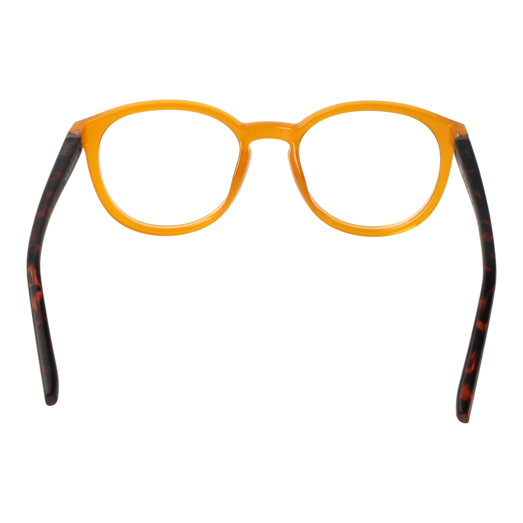 Orange/Demo glasses