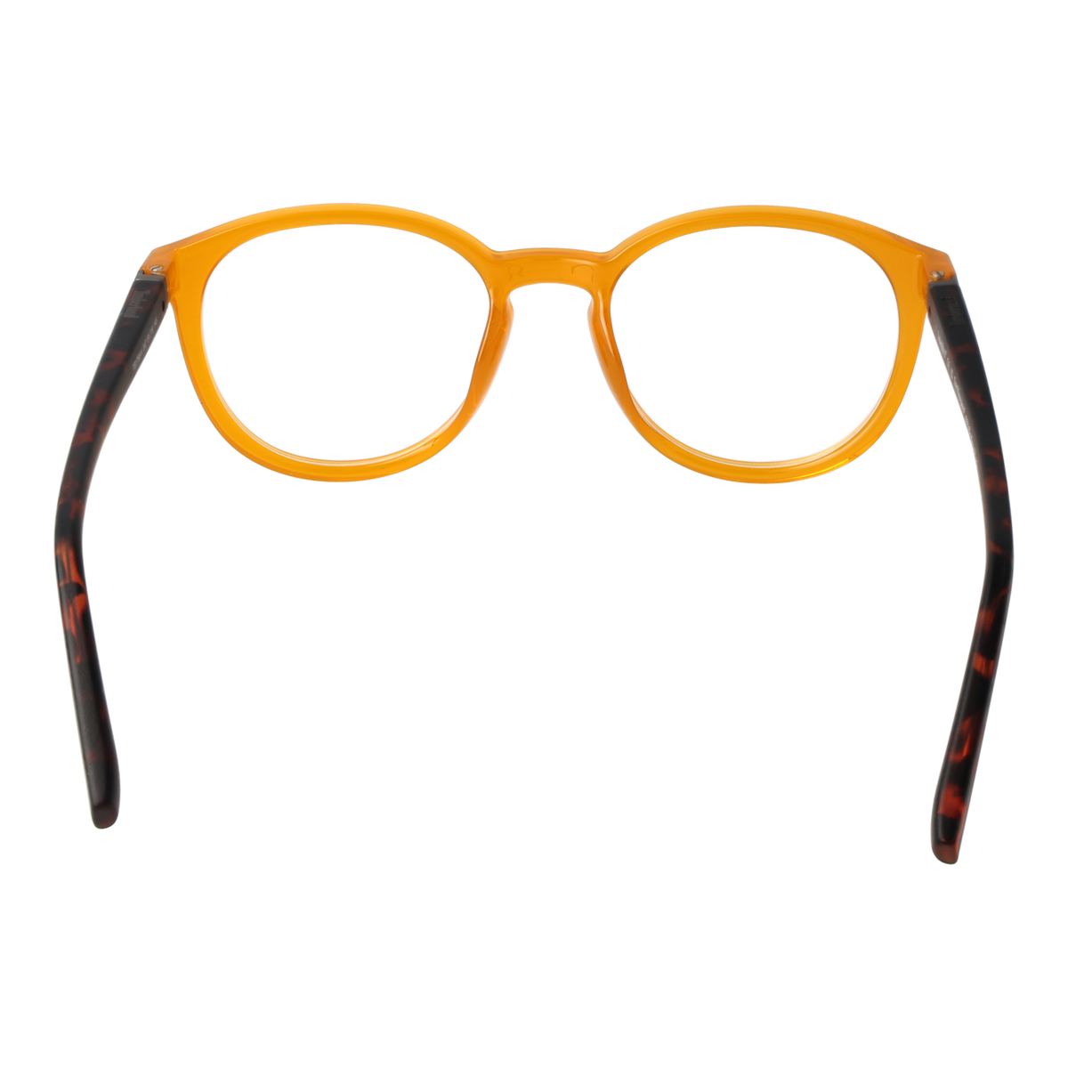 Orange/Demo glasses