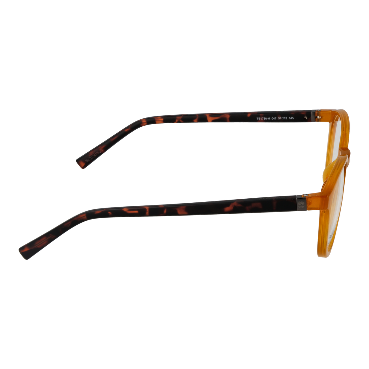 Orange/Demo glasses