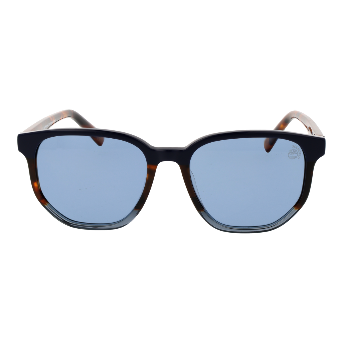 Brown/Blue