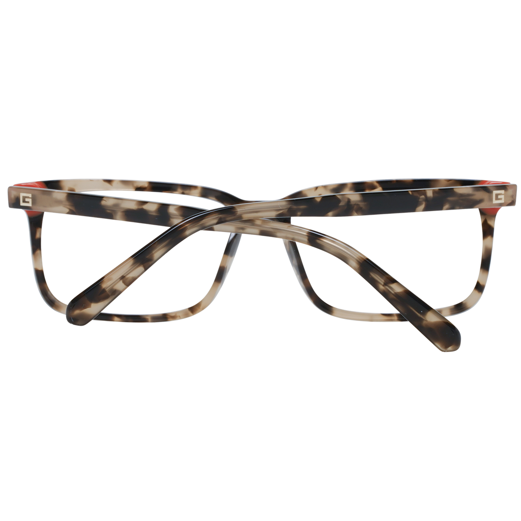 Brown/Demo glasses