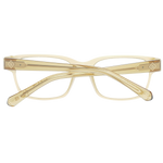 Brown/Demo glasses