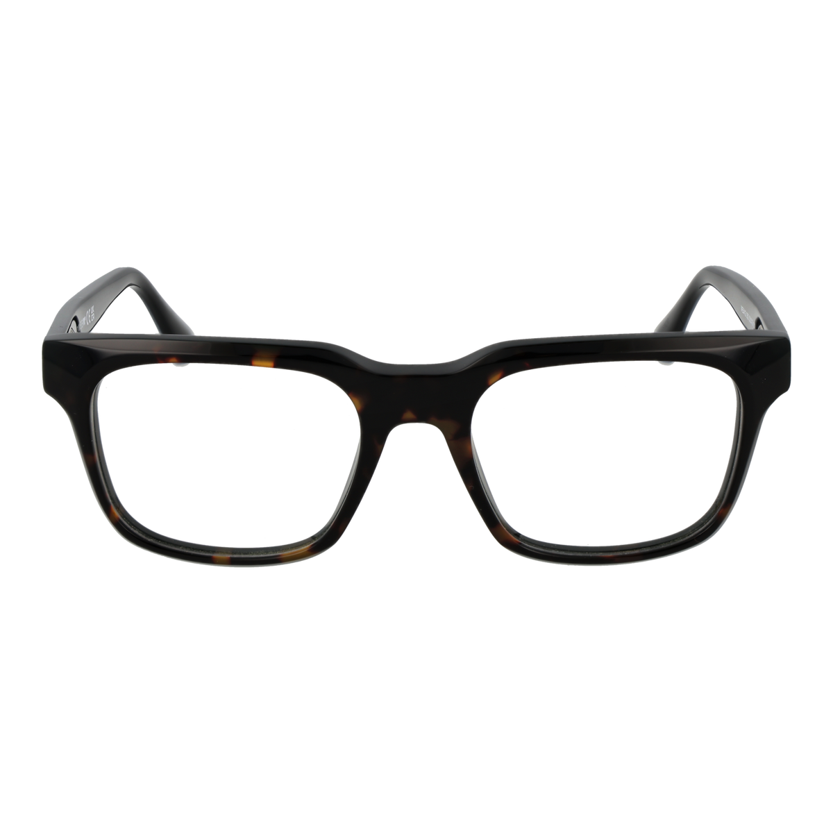 Brown/Demo glasses