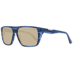 Blue / Brown