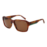 Brown / Clear