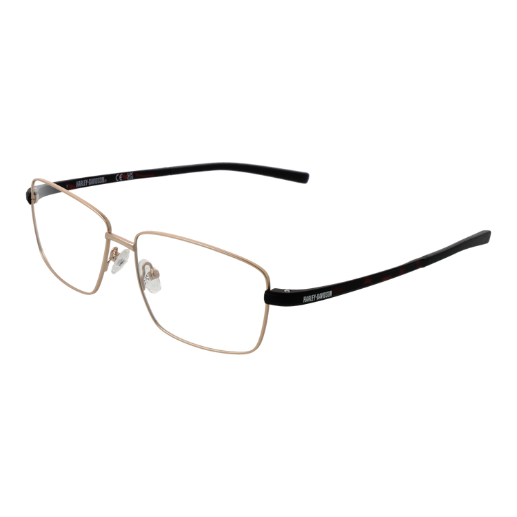 Gold/Demo glasses
