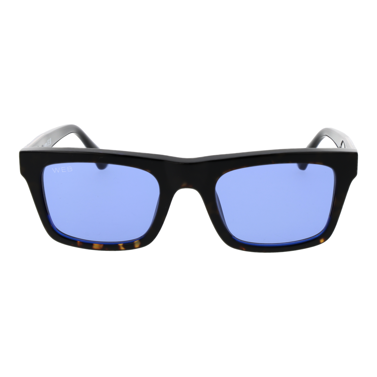 Brown/Blue