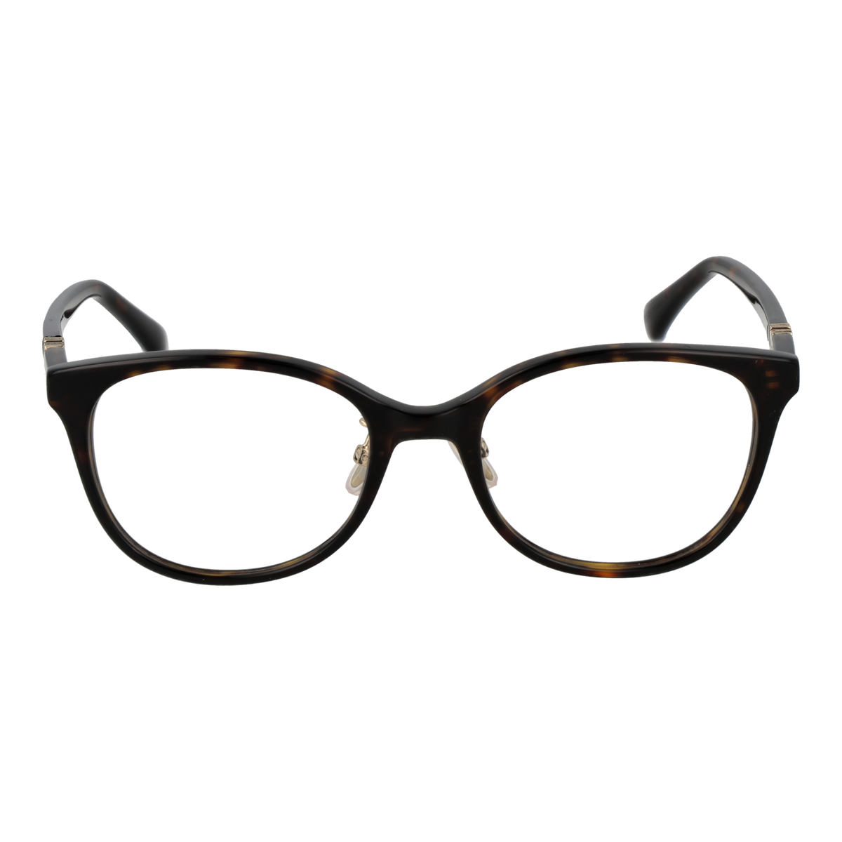 Brown/Demo glasses