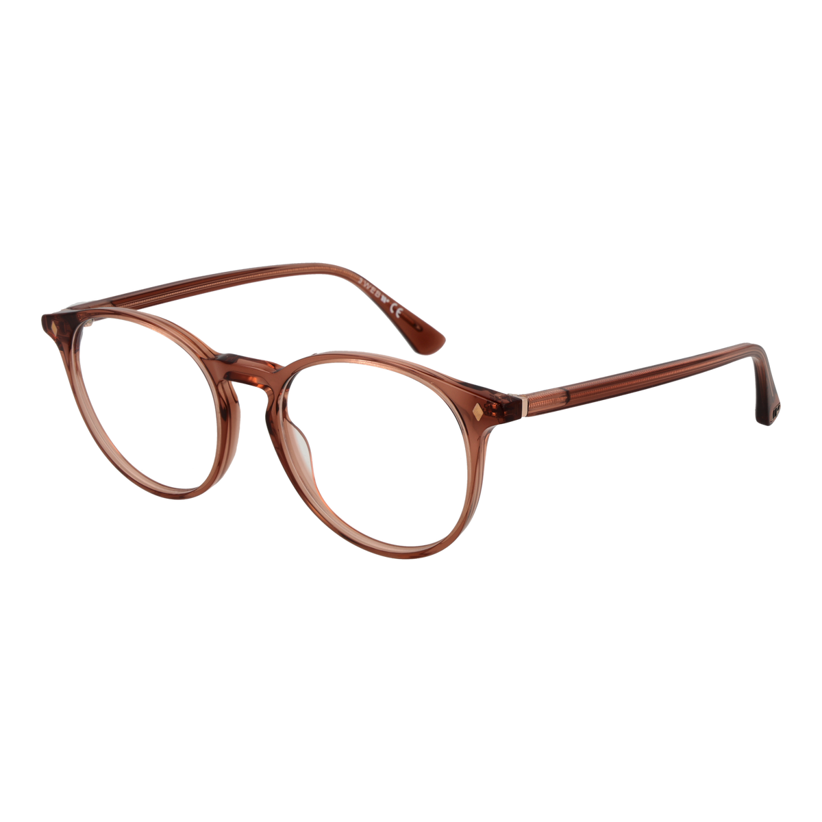Brown/Demo glasses