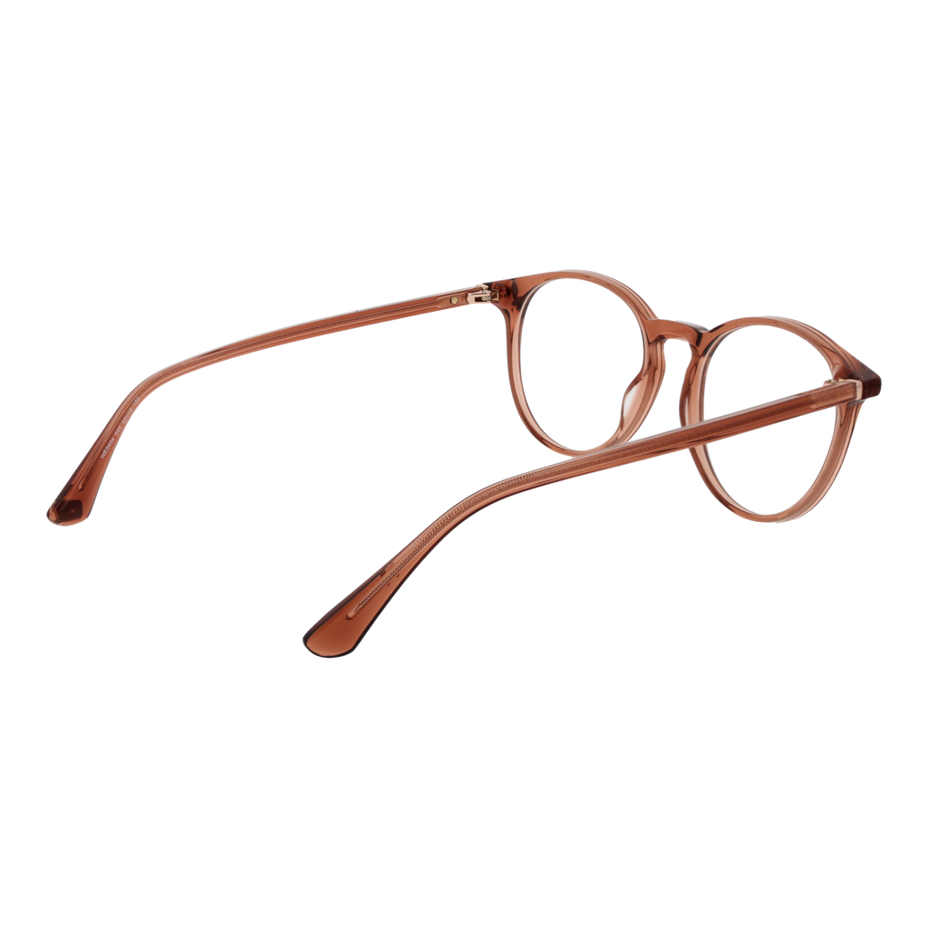 Brown/Demo glasses
