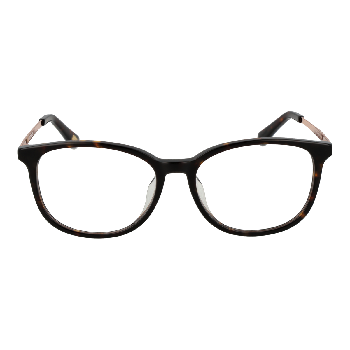 Brown/Demo glasses