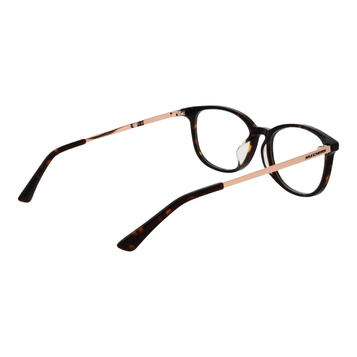 Brown/Demo glasses