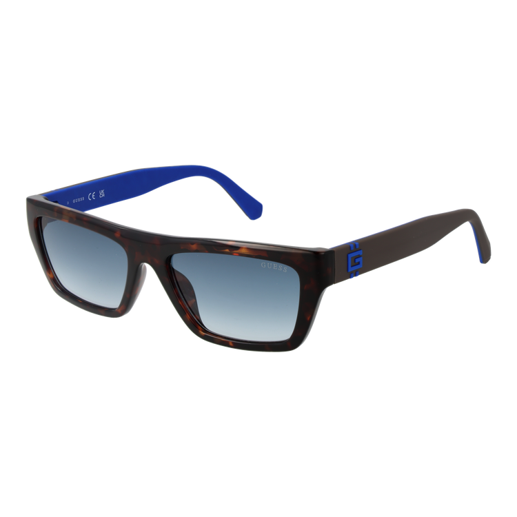 Brown/Blue