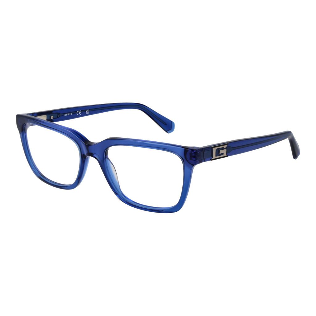 Blue/Demo glasses