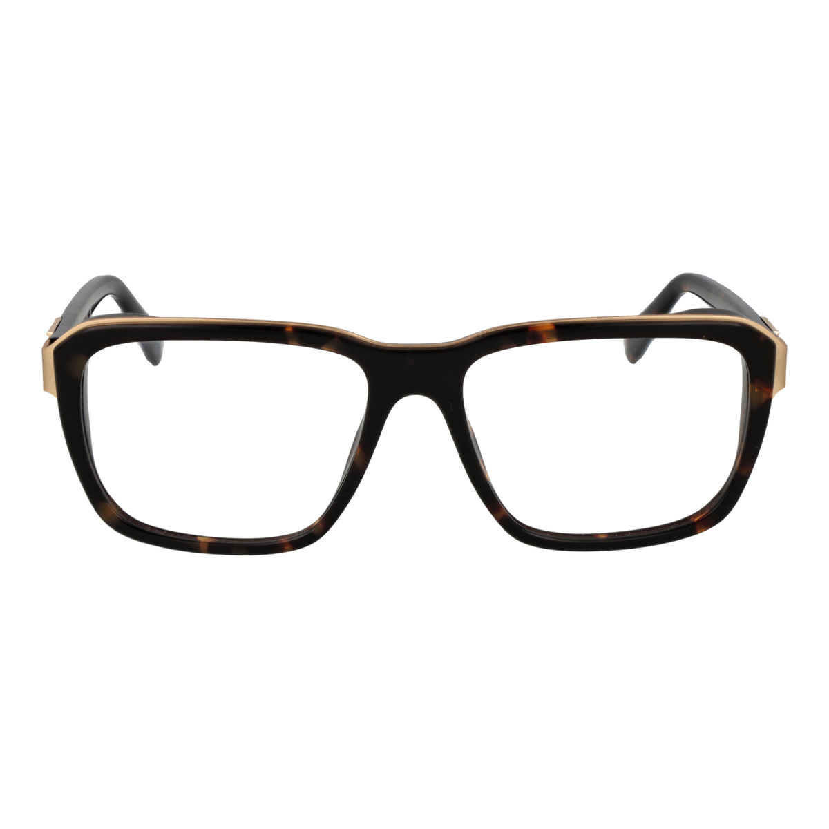Brown/Demo glasses