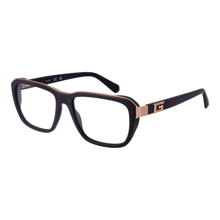 Purple/Demo glasses