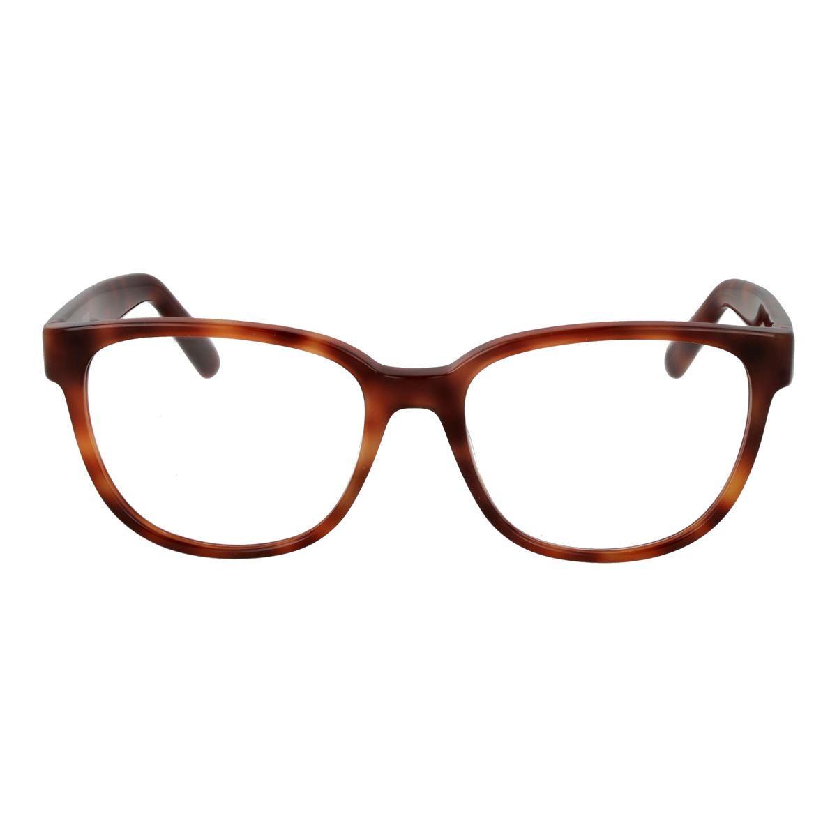 Brown/Demo glasses