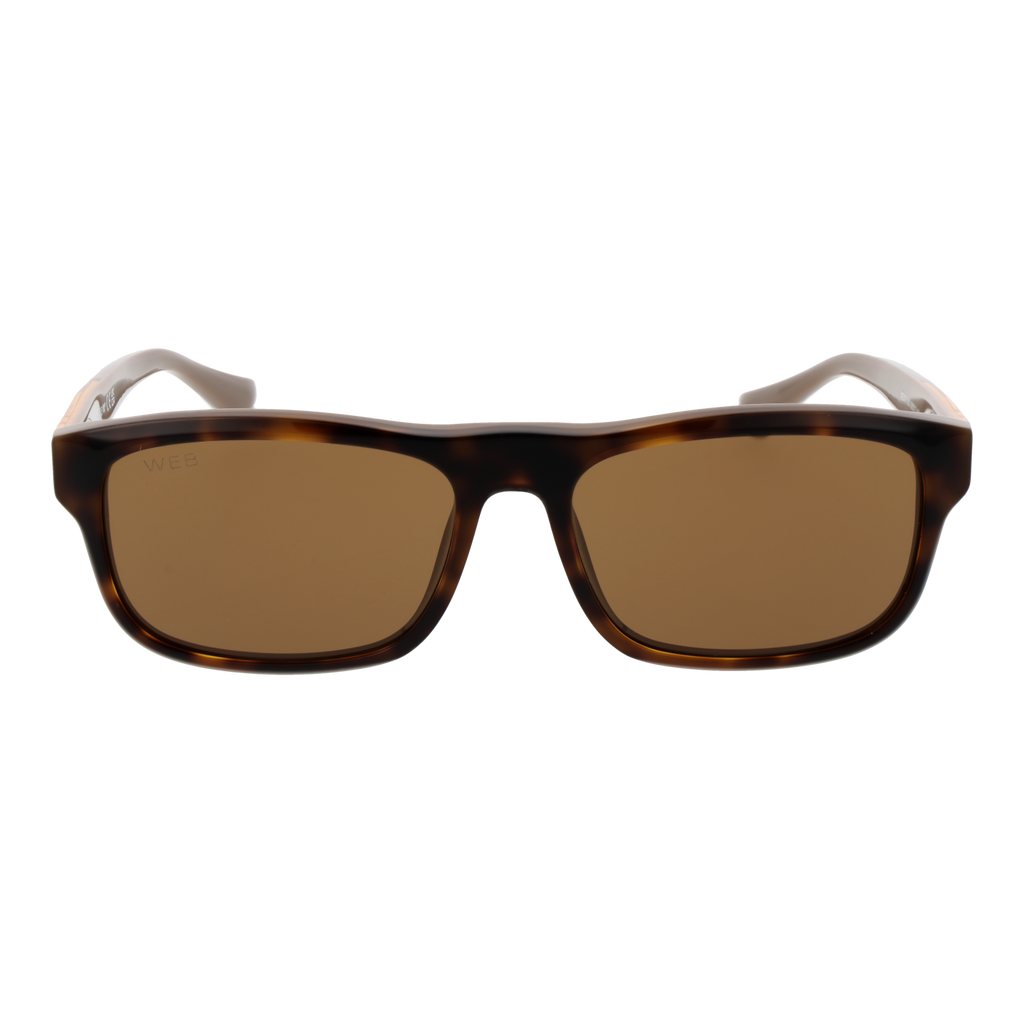 Brown/Gold