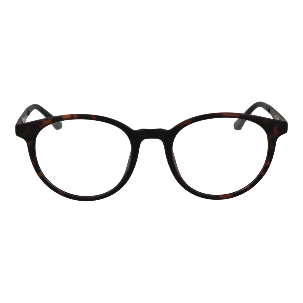 Brown/Demo glasses