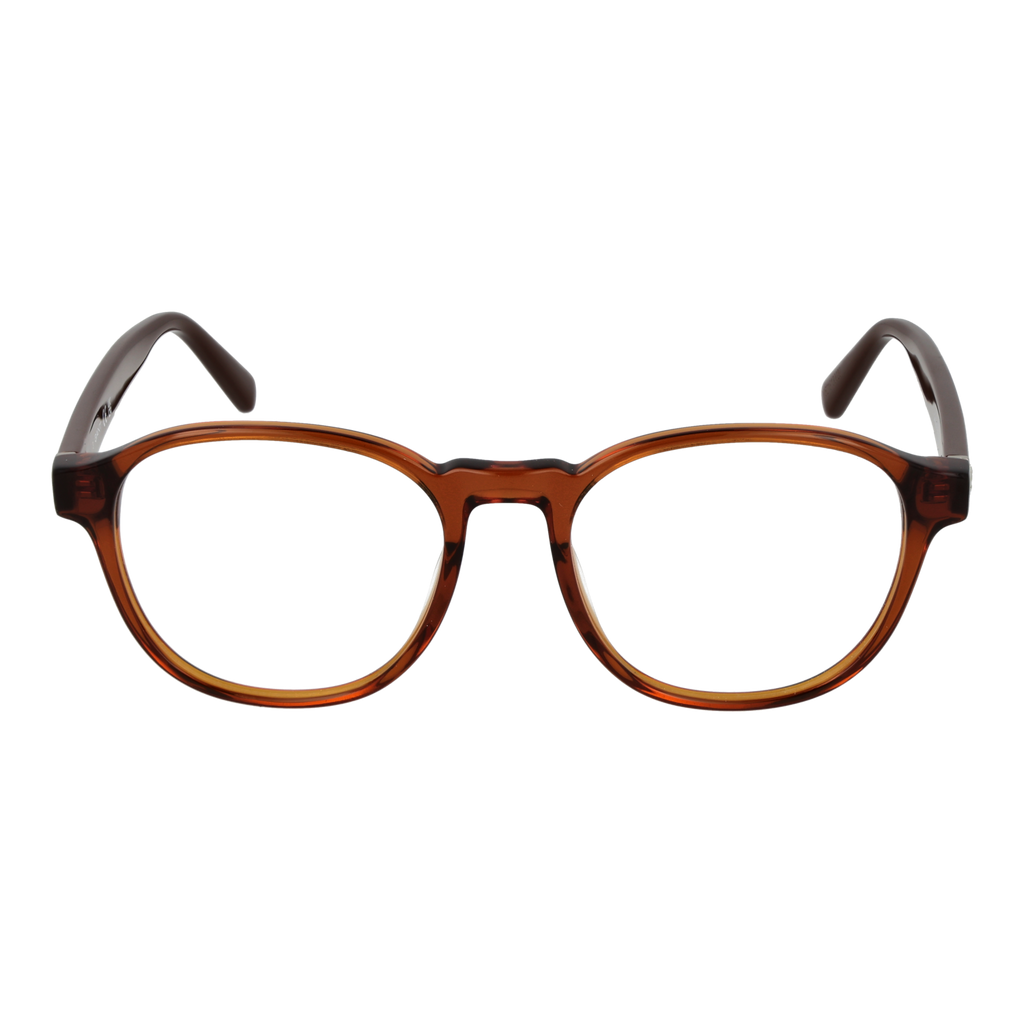 Brown/Demo glasses
