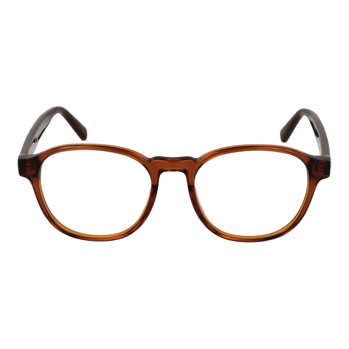 Brown/Demo glasses