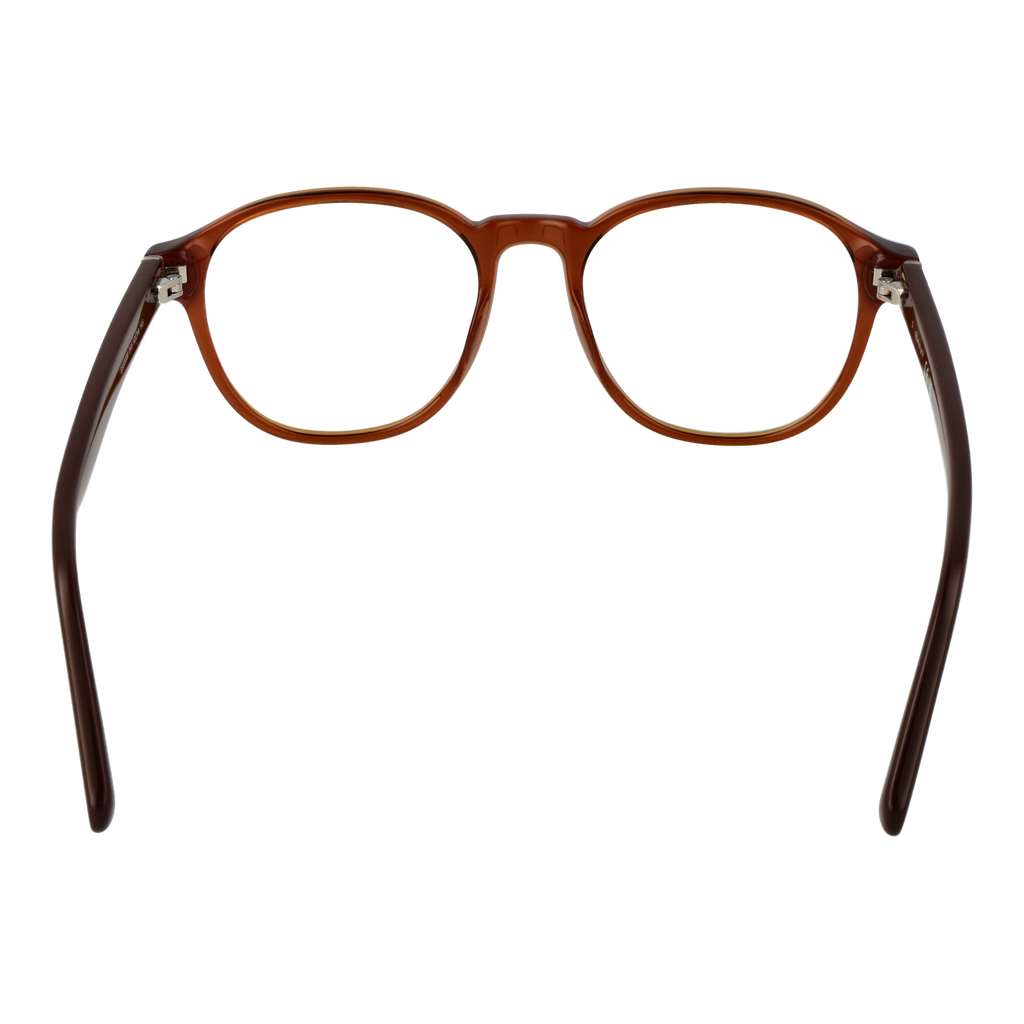 Brown/Demo glasses