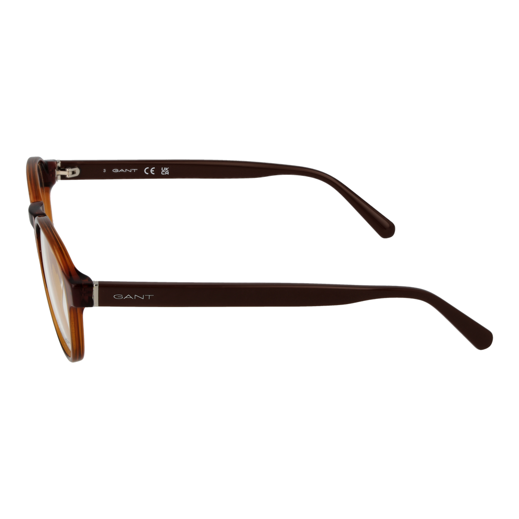 Brown/Demo glasses