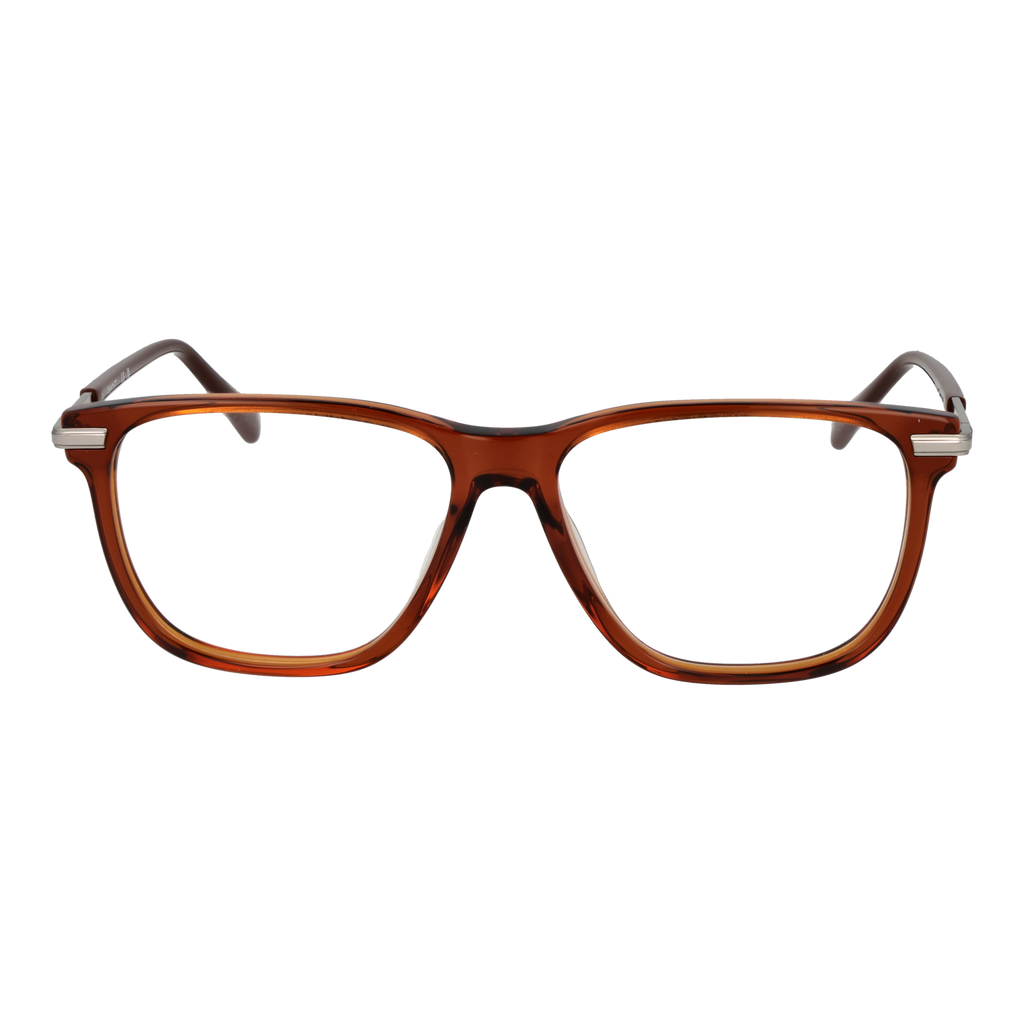 Brown/Demo glasses