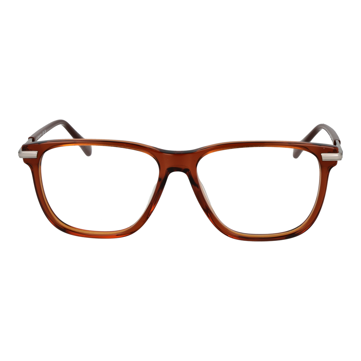 Brown/Demo glasses