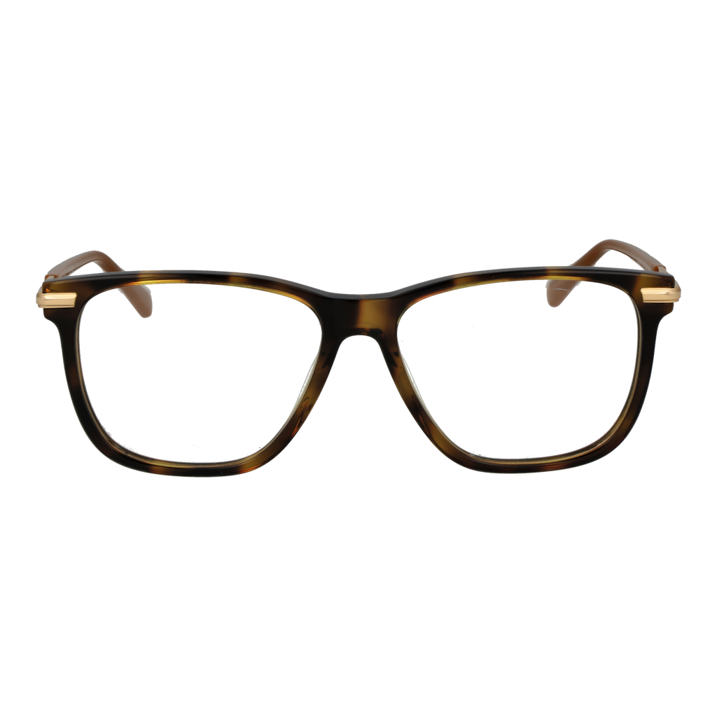Brown/Demo glasses