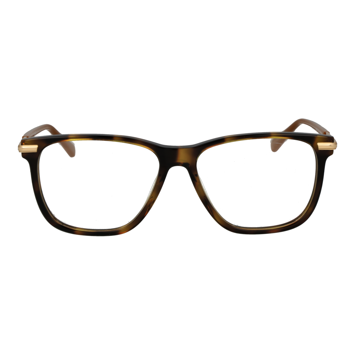 Brown/Demo glasses