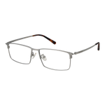 Silver/Demo glasses