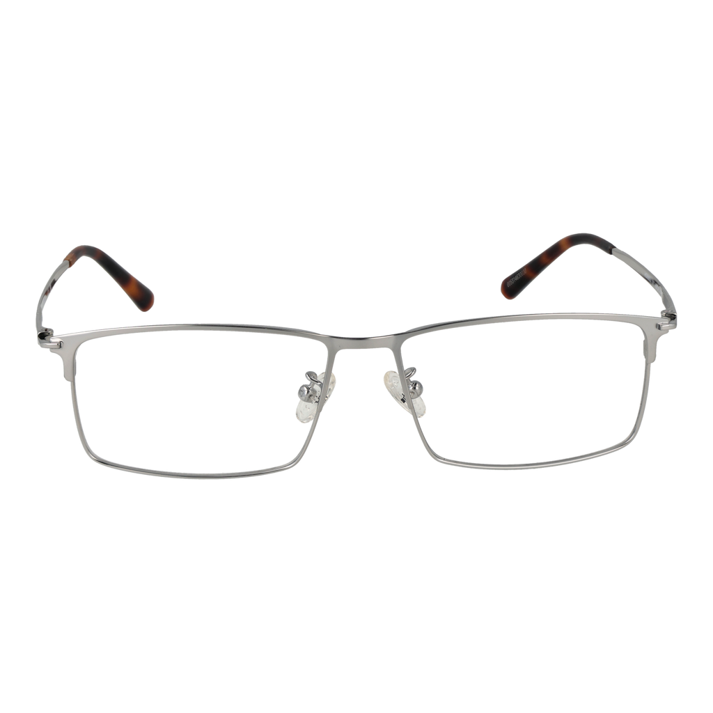 Silver/Demo glasses