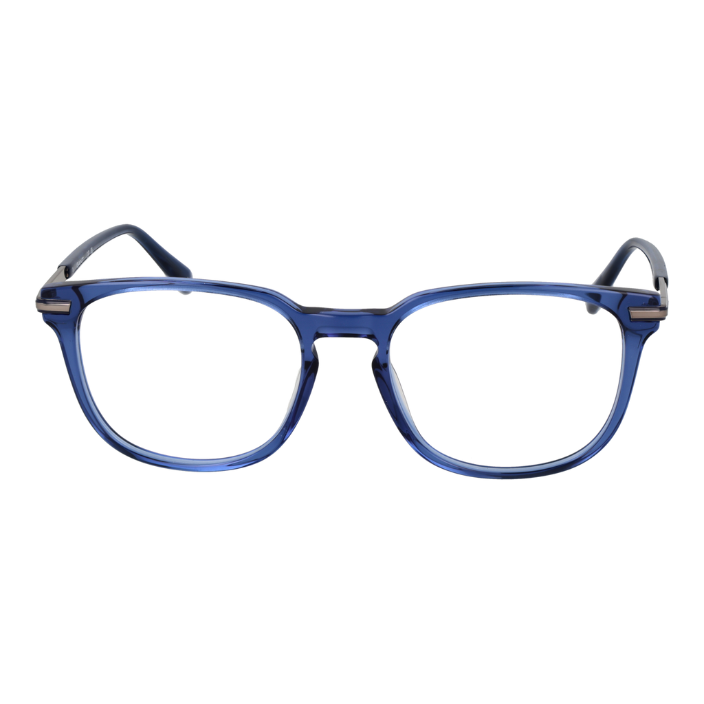Blue/Demo glasses