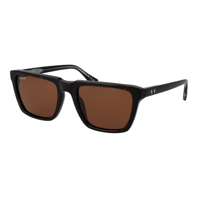 Black/Brown